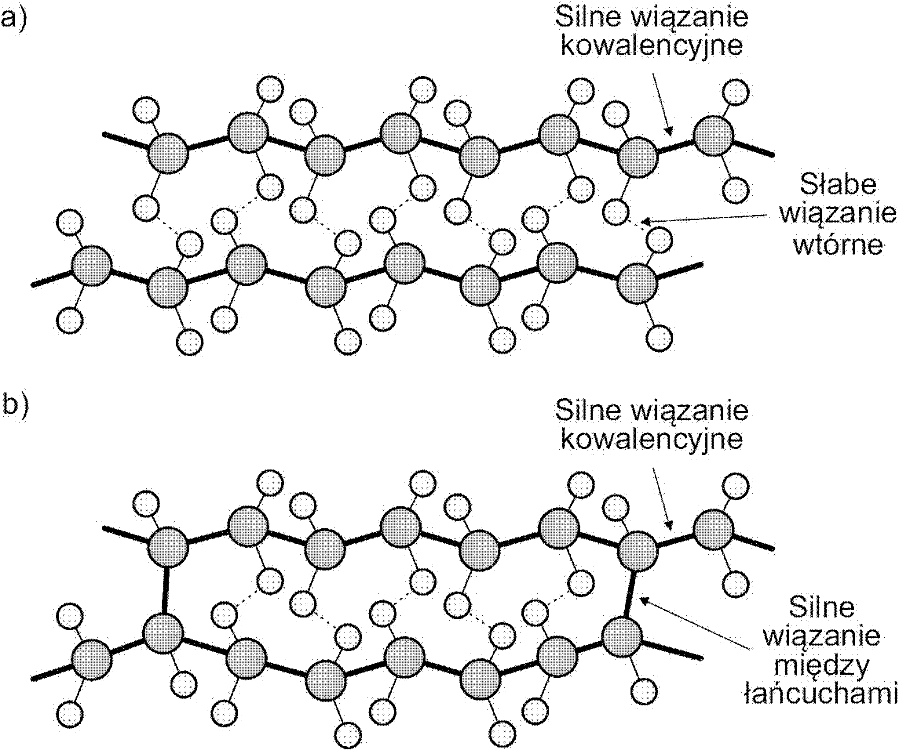 W polimerach między atomami węgla w poszczególnych łańcuchach występują silne wiązania kowalencyjne, natomiast między łańcuchami w polimerach: a) termoplastycznych są tylko słabe wiązania – wtórne, b) termoutwardzalnych i elastomerach także kowalencyjne